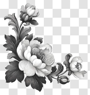 Victorian Floral Corner - Black And White Floral Corner Design Transparent PNG