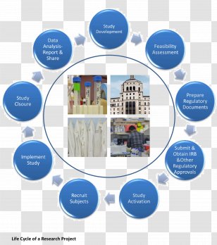 Software Testing Quality Assurance Management Computer Plan - Diagram Transparent PNG