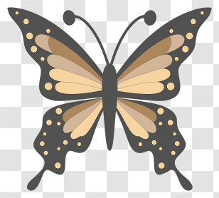 Butterfly - Golden Pattern Decorative Butterfly Illustration Transparent PNG
