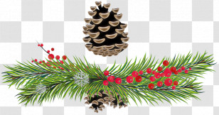 Christmas Tree Transparent PNG