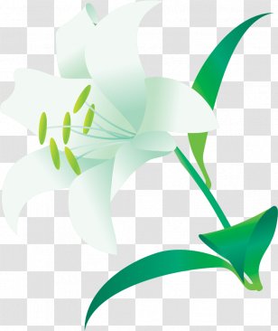 Flash Fiction AlphaPolis Co å°èªªæŠ•ç¨¿ç¶²ç«™ - Green - Lust Transparent PNG