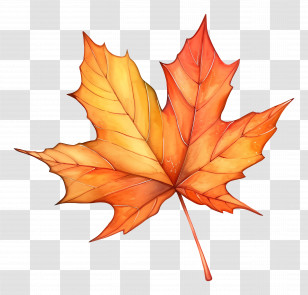 Maple Leaf - Colorful Autumn Maple Leaf With Gradient Transparent PNG