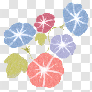 Icon - Colorful Flowers In Bloom Transparent PNG