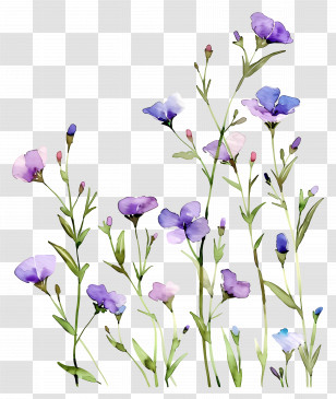 Flower Background - Watercolor Purple Wildflowers Transparent PNG