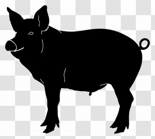 Pig Silhouette - Silhouette Of A Pig Transparent PNG