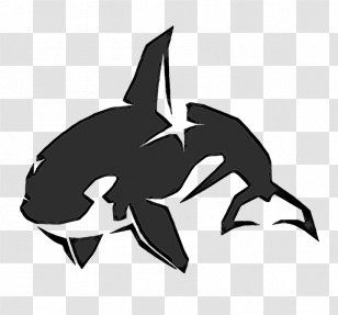 Dolphin Killer Whale Shark Car Clip Art Transparent PNG