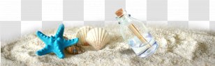 Poster Tourism Template - A Drift Bottle Beside The Starfish Shells On Sand Transparent PNG