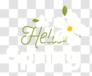White Floral Design - Hello Spring With White Flower Transparent PNG
