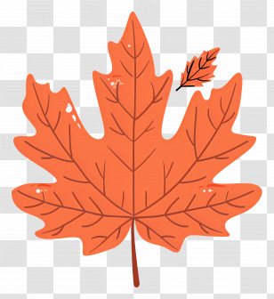 Autumn Maple Leaf - Orange Maple Leaf Illustration Transparent PNG