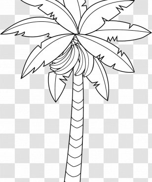 Banana Bread Drawing Coloring Book Image - Leaf Transparent PNG