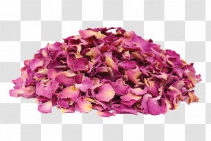 Organic Certification Food Tonka Beans Herb Spice - Rose - Herbs Transparent PNG