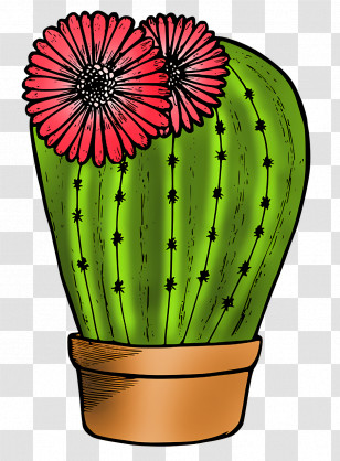 Flower Flowerpot CitroÃ«n Cactus M Plants Science Transparent PNG