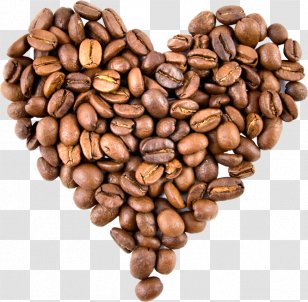 Cafe Coffee Bean Tea Iced - Espresso Transparent PNG