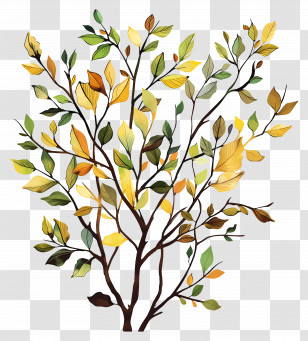 Tree Foliage - Beautiful Autumn Tree With Vibrant Leaves Transparent PNG
