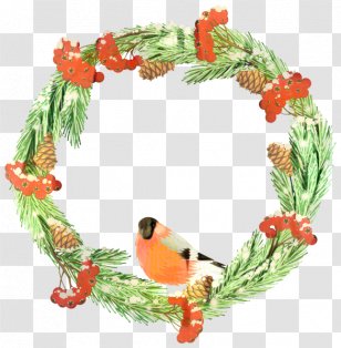 Clip Art Openclipart Illustration Image - Plant Transparent PNG
