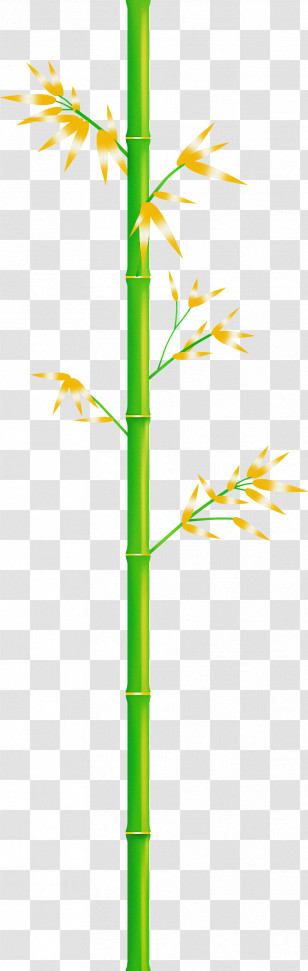 Bamboo Leaf Transparent PNG