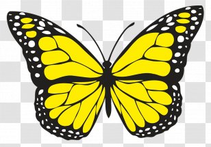 Butterfly Insect Clip Art - Monarch - Yello Transparent PNG
