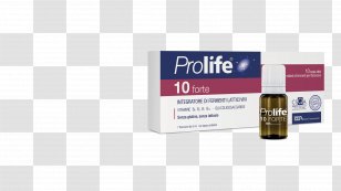 Dietary Supplement Lactobacillus Casei Probiotic Rhamnosus Gut Flora - Streptococcus Thermophilus - Miscanthus Transparent PNG
