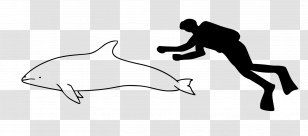 River Dolphin Striped Spinner Atlantic Spotted Pantropical - Cartoon Transparent PNG
