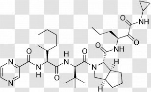 Amino Acid Amine Fluorenylmethyloxycarbonyl Protecting Group Peptide Amide Transparent PNG