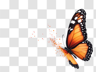 Butterfly Trail - Orange Butterfly In Flight Transparent PNG