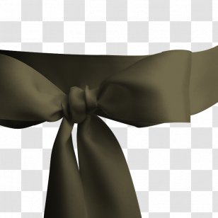 Cake Decorating Annettes Cakes And Supplies Ribbon Belt - Satin - BROWN RIBBON Transparent PNG