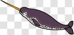 Narwhal Toothed Whale Clip Art - Beluga - Baby Cliparts Transparent PNG