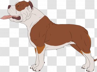 Bulldog Dog Breed Non-sporting Group Illustration (dog) - Like Mammal - Runescape Transparent PNG