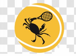 Smash-Bergen Op Zoom Party Restaurant Rozenoord Sports Association Tennis - Pollinator - Berg Transparent PNG