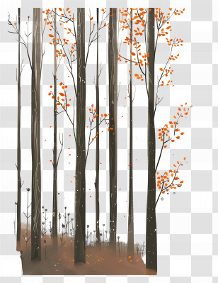 Sunlit Forest - Tall Trees In Autumn Transparent PNG