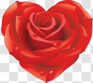 Rose Clip Art Desktop Wallpaper Image - Flower Transparent PNG