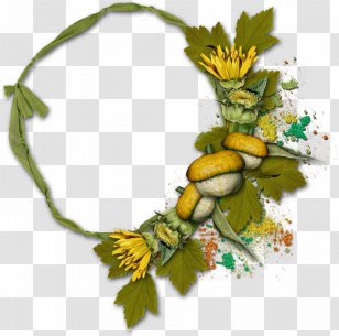 Floral Design Flower Transparent PNG