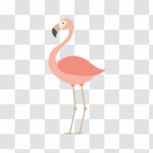 Flamingos Bird Parrot Euclidean Vector - Perroquet - Crane Transparent PNG