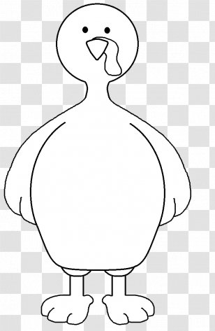 Beak Bird Cygnini White Clip Art - Drawing - Cute Feather Cliparts Transparent PNG