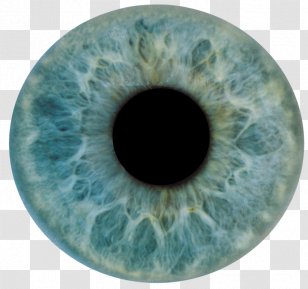Human Eye Iris Anatomy Light - Frame Transparent PNG
