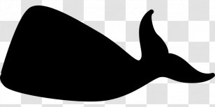 Blue Whale Killer Clip Art - Whaling Transparent PNG