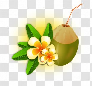 Coconut Water Cocktail Cuisine Of Hawaii Milk Transparent PNG