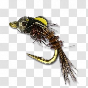 Fishing Bait Insect - Fly Transparent PNG