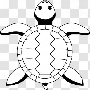 Sea Turtle Tortoise Line Art Drawing - Tortoide Transparent PNG