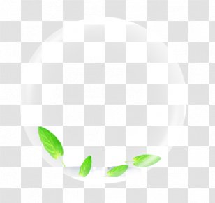 Google Images Icon - Black - Small Fresh Green Leaves Floating Bubbles Transparent PNG