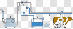 Milking Cattle Goat Dairy - Products - Milk Flow Transparent PNG