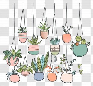 Houseplants Hanging - Illustration Of Hanging Potted Plants For Home Decor Transparent PNG