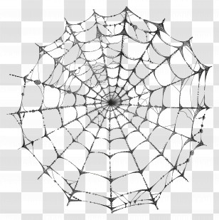 Spider Web - Intricate Spiderweb Design In Black Transparent PNG