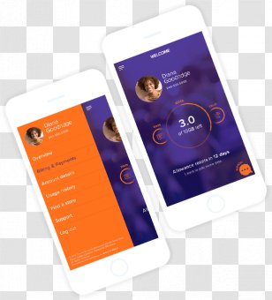 Web Development Conception Sites - Design - Walter Interactive DesignWorld Wide Transparent PNG