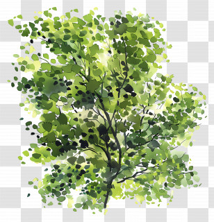 Tree Foliage - Lush Green Tree Branches Transparent PNG