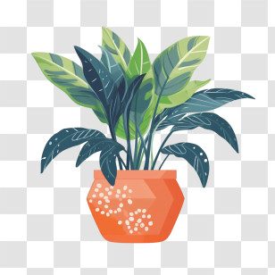 Chinese Evergreen
 - Potted Plant Illustration With Vibrant Foliage Transparent PNG