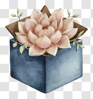 Watercolor Painting - Beautiful Flower In A Box Transparent PNG