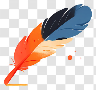 Feather Doodle - Vibrant Feather Illustration Transparent PNG