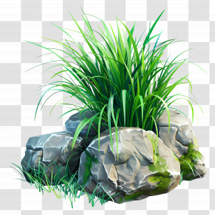 Grass Plant - Grass Growing Among Natural Rocks Transparent PNG