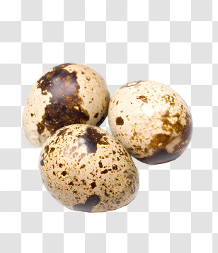 Egg - Three Spotted Quail Eggs In Close View Transparent PNG